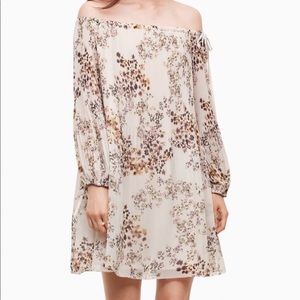 Aritzia Raison Pleated Off Shoulder Dress
